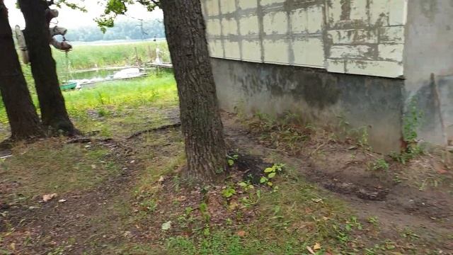 Дубовая Грива: кусочек воспоминаний из детства смотреть онлайн