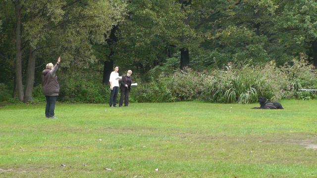 Чемпионат НКП 