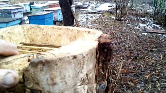 Колода для пчел смотреть онлайн