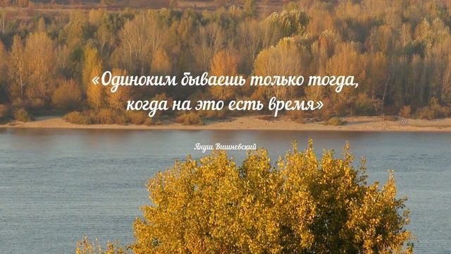 Мудрые мысли об одиночестве: цитаты и афоризмы мировых знаменитостей смотреть онлайн