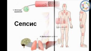 9. Пролежни: причины,профилактика, лечение