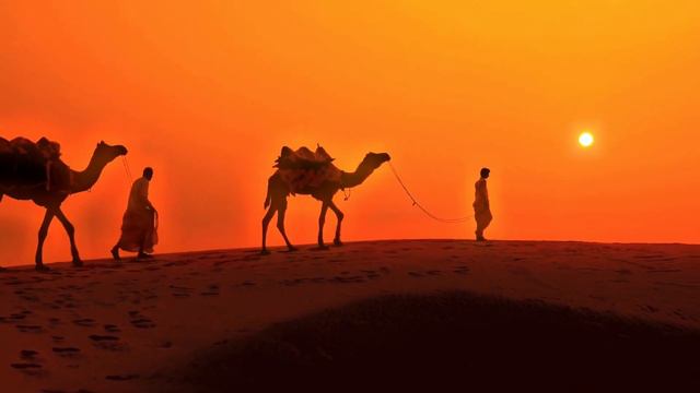 вся красота заключается в 🏞 смотреть онлайн