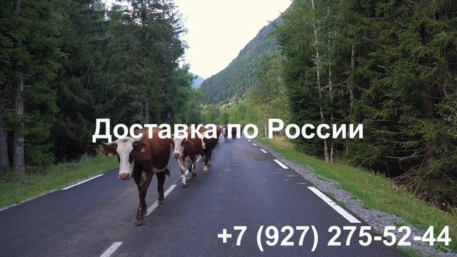 Семена Кормовых Травосмесей оптом и в Розницу . смотреть онлайн
