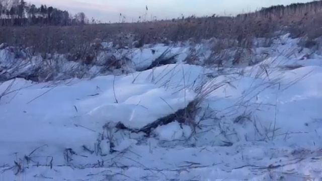 По бездарожью смотреть онлайн