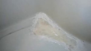 Как починить поддон душевой кабины