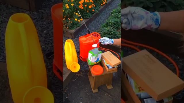 уход за смородиной #вредитель #дача #дачнаяжизнь #средство #средствоотвредителей#смародина#сад смотреть онлайн