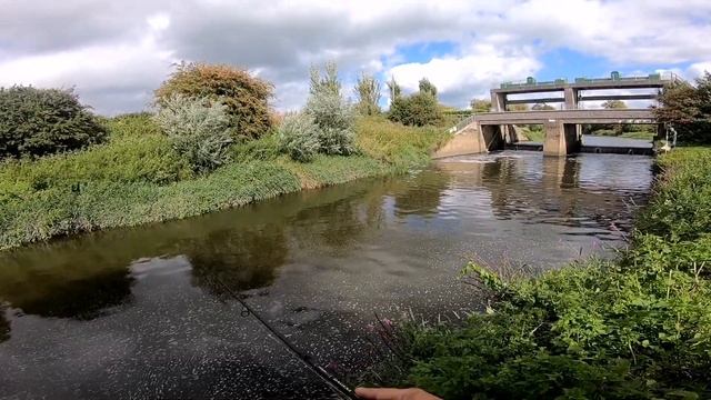 Личен рекорд.90см.Personal record. 90 cm #Pike#Taiwalk Dageki #Stradic#bridgwater смотреть онлайн