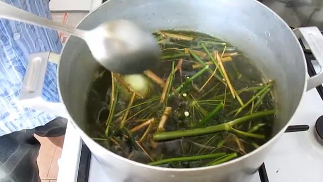 Интересные Факты о Животных