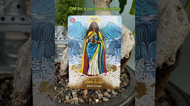 Your oracle card of the day - Sara la Kali (Divine Lineage) смотреть онлайн