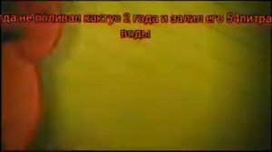 в любой беде поможет всем Люсьен