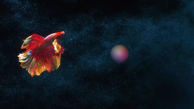 ? Top 5 Best Buy Monitors (2022) смотреть онлайн