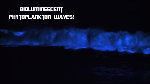 MODG Earth Science - OCEANOGRAPHY - Waves and Tides смотреть онлайн