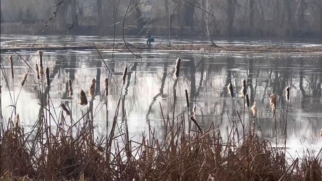 Я это сделала😳 КУПИЛА СЫНУ САМЫЙ ДОРОГОЙ ПОДАРОК НА РОЖДЕСТВО 🎄€€ смотреть онлайн