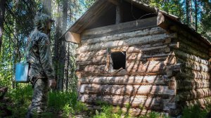 МЕДВЕДЬ ПРОДОЛЖАЕТ ГРАБИТЬ ИЗБЫ. ЖИВУ С МИКРОСОБАКОЙ В ИЗБЕ. РЫБАЛКА.
