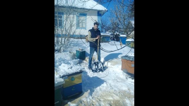 Зимовка пчел в помещении《 Пасека в Доме》.А Вы знали что так можна??Как зимуют пчелы в доме смотреть онлайн