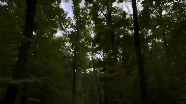 Тест-драйв на турбированном седане OMODA S5 смотреть онлайн