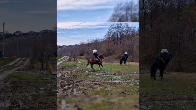 ЧУТЬ ТРАГЕДИЯ НЕ СЛУЧИЛОСЬ!!!