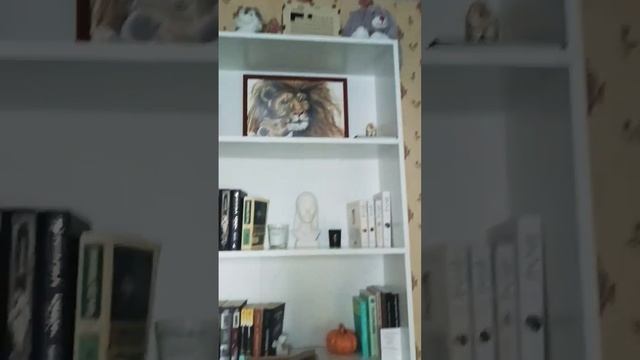 книжный шкаф смотреть онлайн