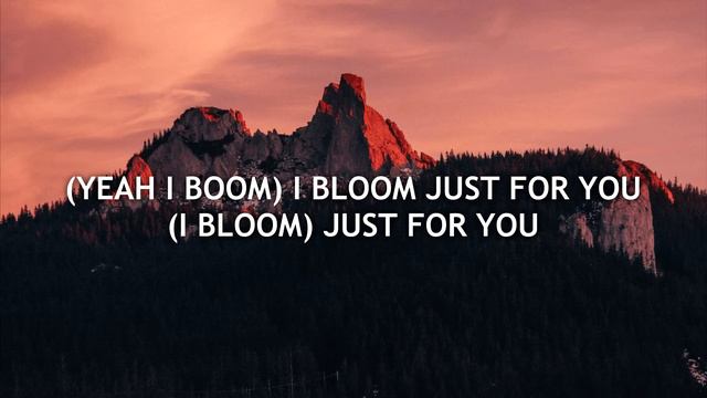 Troye Sivan - Bloom (Lyrics) 🌺