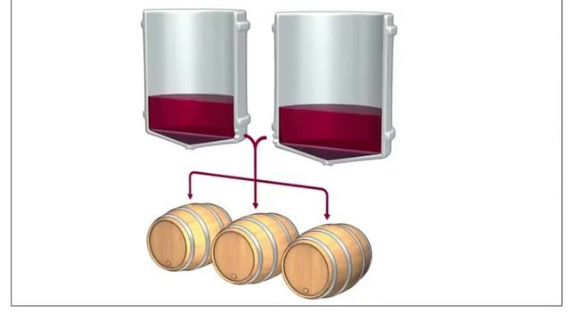 Этапы производства красного вина смотреть онлайн