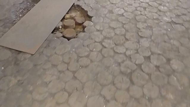 Деревянная брусчатка 79 лет от Немцев для ангара смотреть онлайн