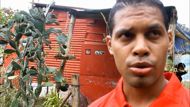 LABOR SOCIAL DE JUGDORES Y CUERPO TECNICO DE ATLETICO CHIRIQUI F.C. смотреть онлайн