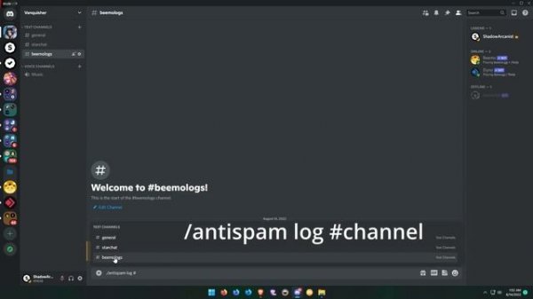 Discord Anti Raid Bot Setup Tutorial 2022 | Beemo Bot