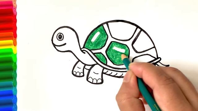 Easy Turtle Drawing and Coloring | Step by Step Simple Turtle Drawing | How to Draw a Tortoise смотреть онлайн
