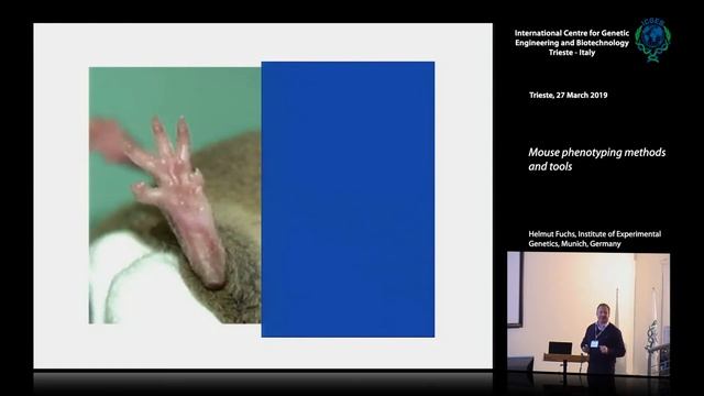 H. Fuchs - Mouse phenotyping methods and tools смотреть онлайн