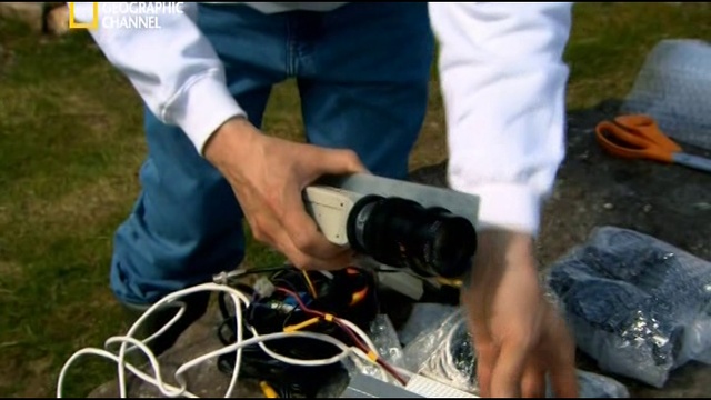 Морские чудовища