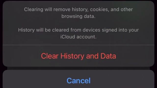Cómo Borrar El Historial De Safari En IPhone