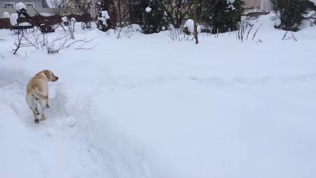 387 * НОРМАЛЬНО ТАК ПОГУЛЯЛИ! смотреть онлайн