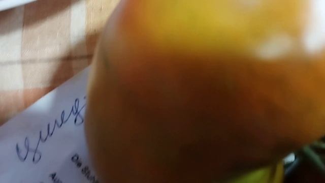 Выставка томатов, выращенные в открытом грунте. г. Киров. (В видео оговорка "в теплице"). смотреть онлайн