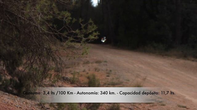2023 HONDA ADV 350 / ¿Que historia hay detras de esta moto? / Caract. técnicas / Prueba y opinión! смотреть онлайн