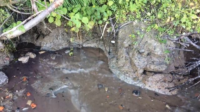 Размыв берега Невы №4 (Удачный день!!! Cеребро,золото) смотреть онлайн