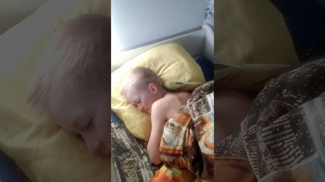 Попугай Гоша будит с утра смотреть онлайн