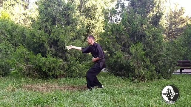 Синъицюань. Усин ляньхуаньцюань смотреть онлайн