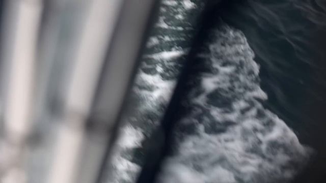 She had a PANIC ATTACK on the boat | How to stop panicking attacks ? смотреть онлайн