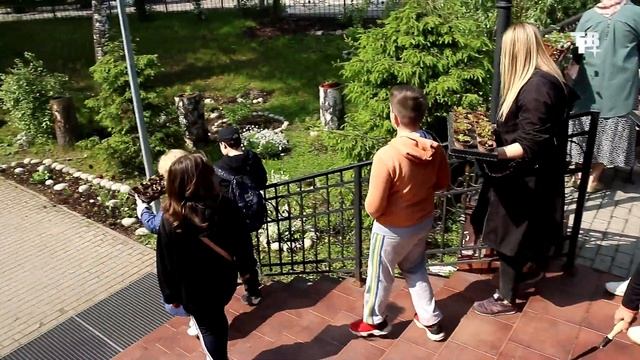 Город стал ярче от высаженных цветов смотреть онлайн