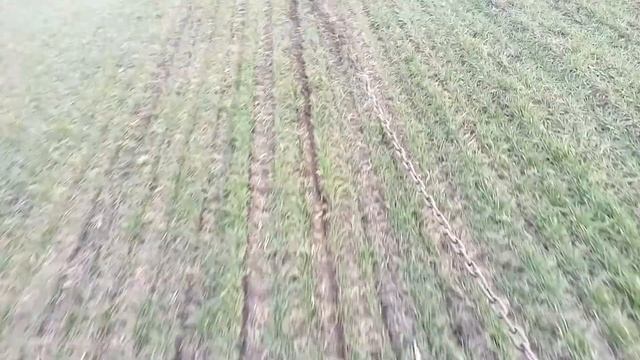 5 марта. Подкормка пшеницы Шпаловка 270 кг селитры сеялкой смотреть онлайн