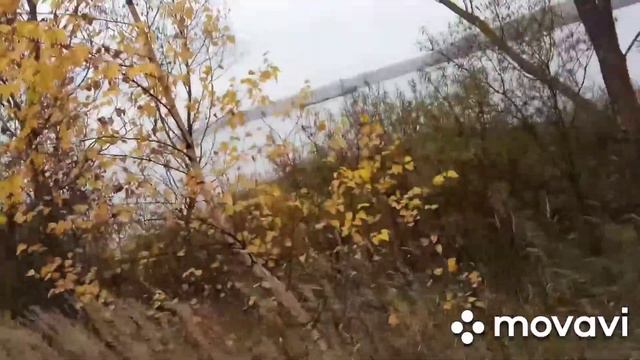 как на Волгу ездил,щуки море,Дип Хаус,клёвый клёв. Также бывают и не удачи смотреть онлайн