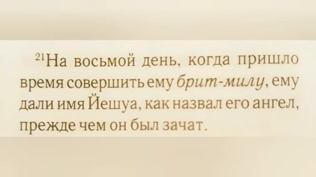 Младенца обрезывают и дают Ему имя - Иисус. смотреть онлайн