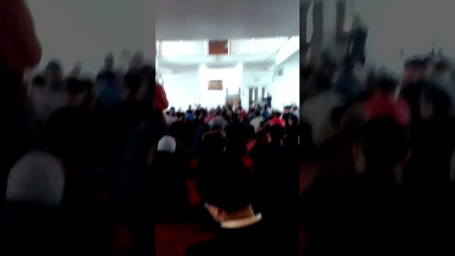 Мавлуд Мечети Мира смотреть онлайн