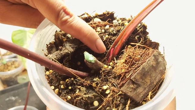 Propagation Updates Part 1 смотреть онлайн