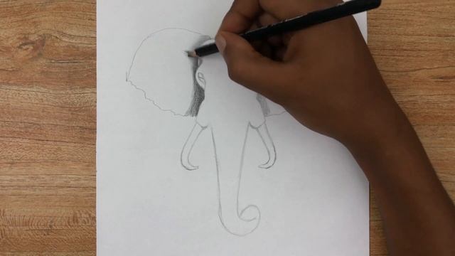 How to draw an ELEPHANT easy step by step for beginners смотреть онлайн