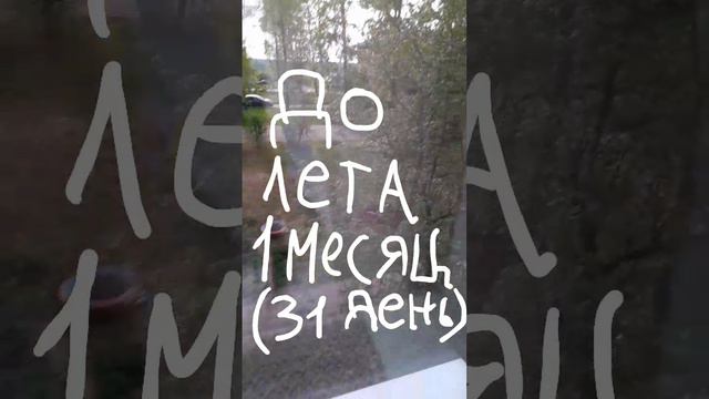 до лета 1 месяц (31 день) #shorts