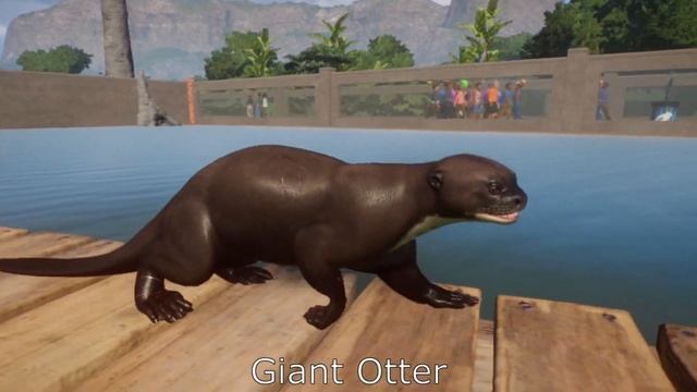 Planet Zoo. Aquatic Pack Animals & Saltwater Crocodile Diving. смотреть онлайн