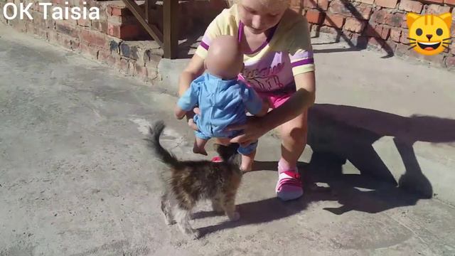 По дороге к морю в Крым хочет забрать рыжика котёнка смотреть онлайн