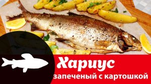 Видео рецепт приготовления хариуса с картофелем в духовке: как приготовить хариуса по-деревенски