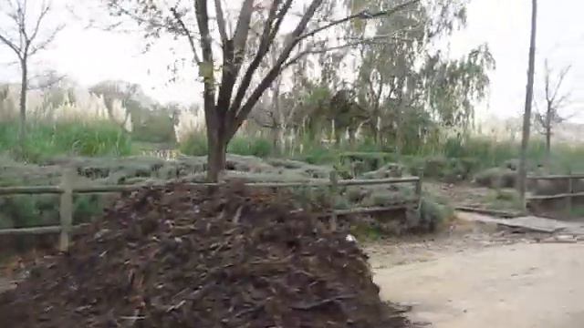 Apascovi Jardinería, Acolchado y Reposición de Arbusto en Parque Romacalderas en C. Villalba. смотреть онлайн